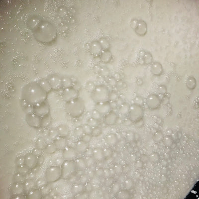 玉泡~発酵の神秘