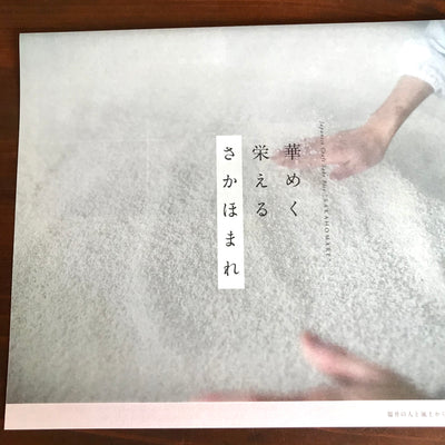 さかほまれのパンフレット。
