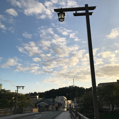 足羽山と足羽川のあいだ。