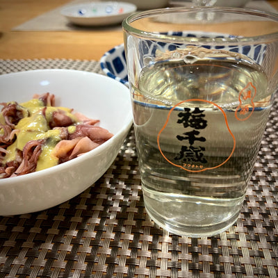 杜氏の晩酌 2025春。