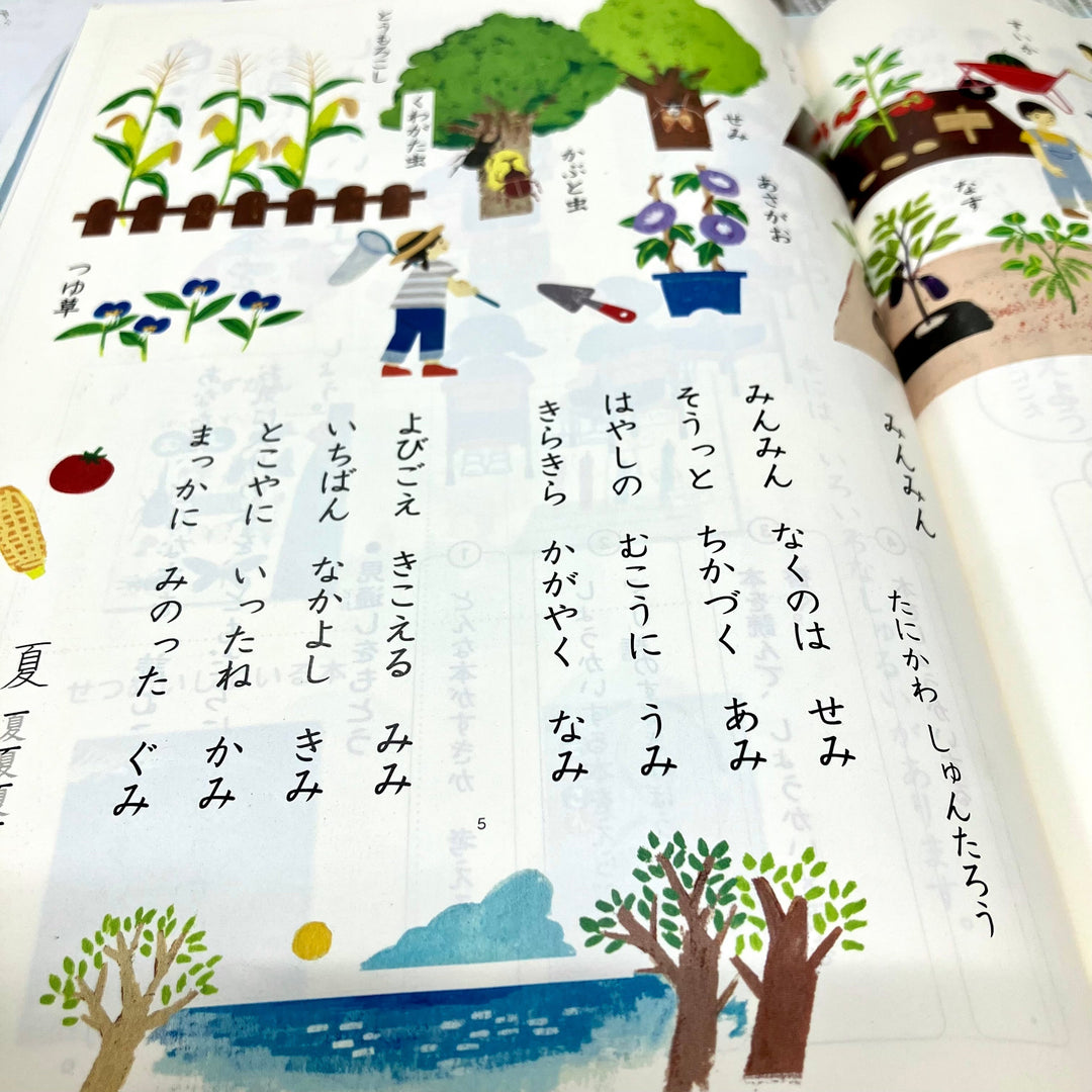 ワクワクする夏。