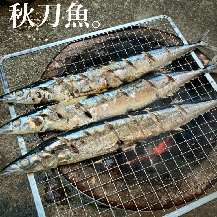 日本の秋の過ごし方、秋刀魚編。