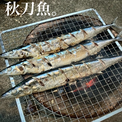 日本の秋の過ごし方、秋刀魚編。