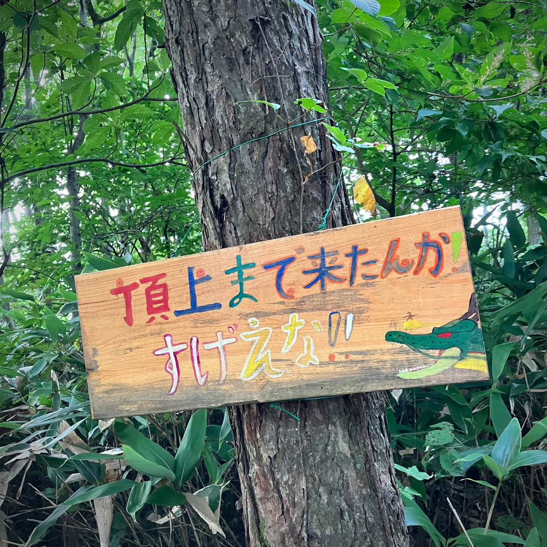 はじめての1人登山  at 下市山