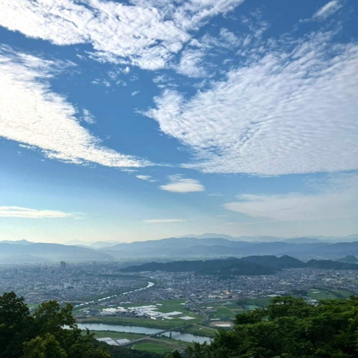 まさまさ様　50枚 究極の酒米【さかほまれ】セット – 山廃の日本酒蔵「福千歳