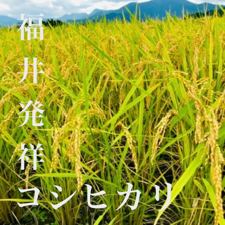 （飲むコシヒカリ）PURE RICE WINE【純米ワイン】720ml