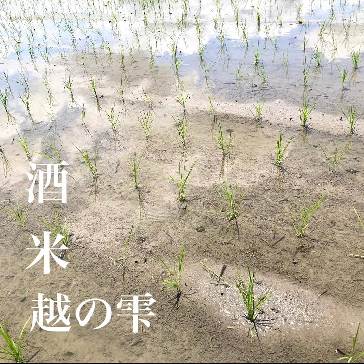 福【山廃純米大吟醸 】720ml（山廃仕込の逸品）