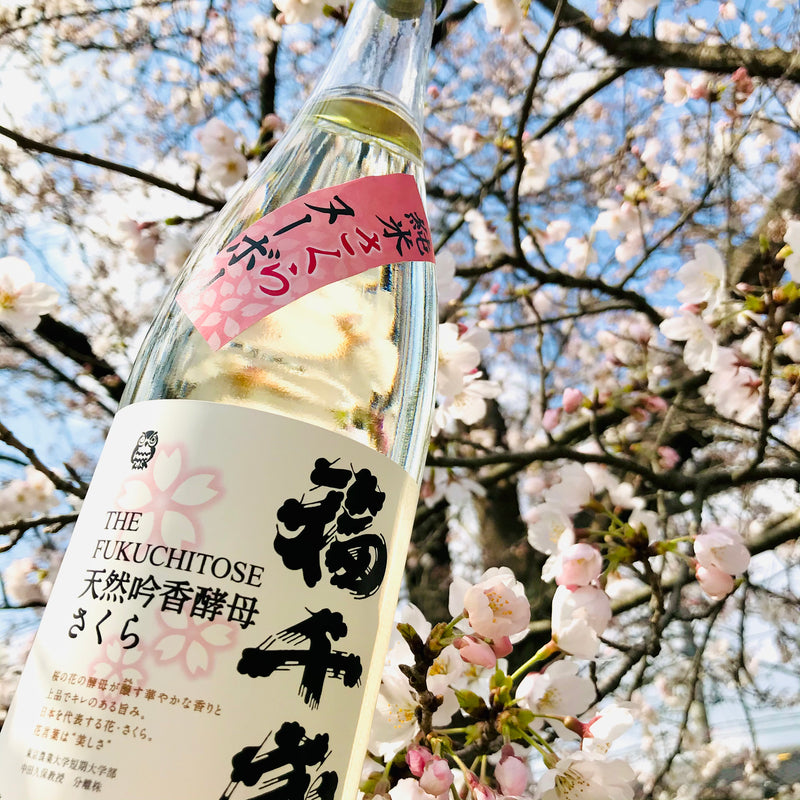 純米さくらヌーボー【山廃純米無ろ過生酒】720ml 【限定】R8/2発売予定