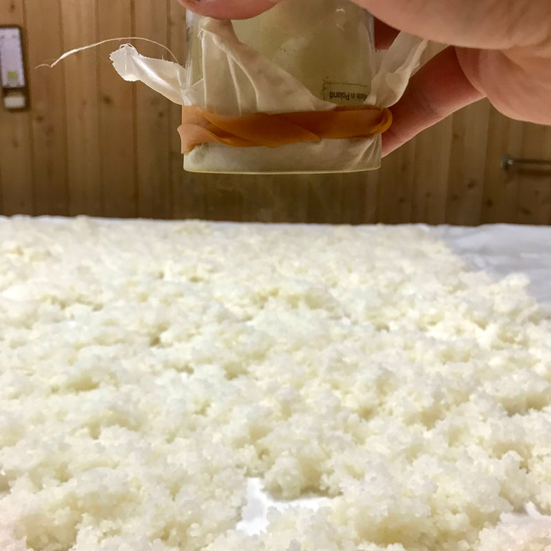 【地元で170年愛される定番酒】さくらクラシック 1.8L